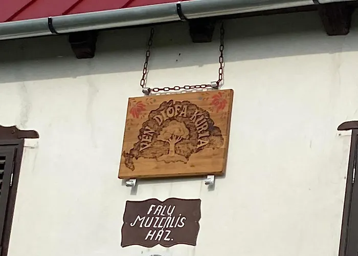Vén Diófa Kúria