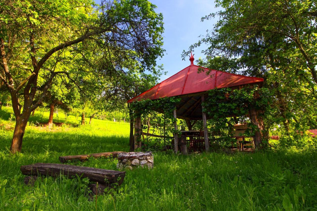 Vén Diófa Kúria Casa di campagna